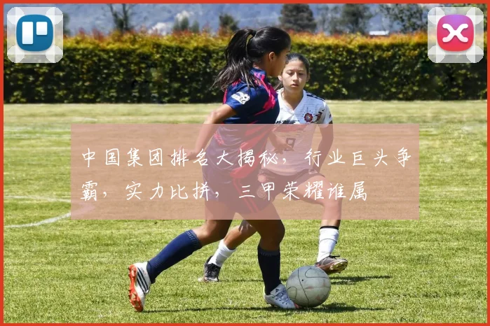 中国集团排名大揭秘，行业巨头争霸，实力比拼，三甲荣耀谁属