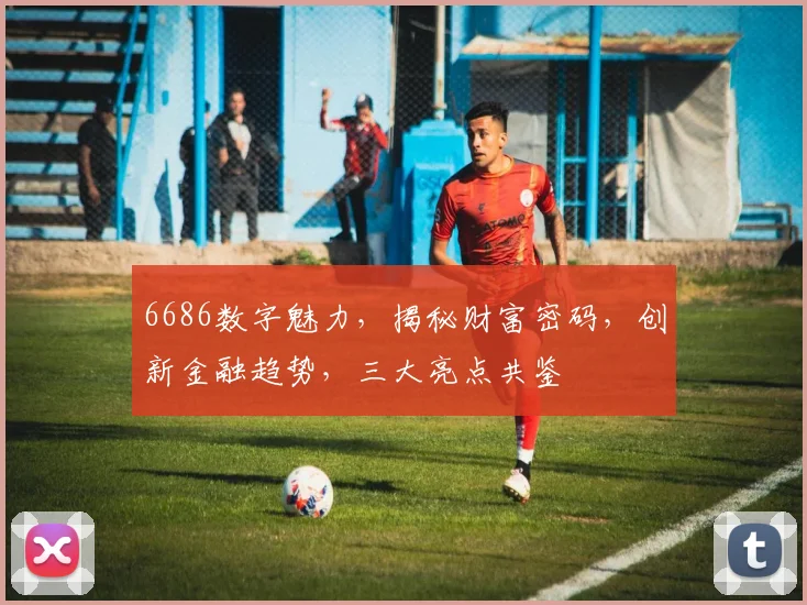 6686数字魅力，揭秘财富密码，创新金融趋势，三大亮点共鉴