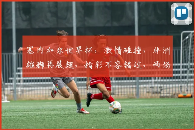 塞内加尔世界杯，激情碰撞，非洲雄狮再展翅，精彩不容错过，两场对决等你见证