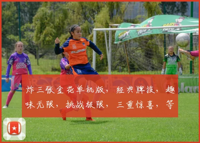 炸三张金花单机版，经典牌技，趣味无限，挑战极限，三重惊喜，等你来战