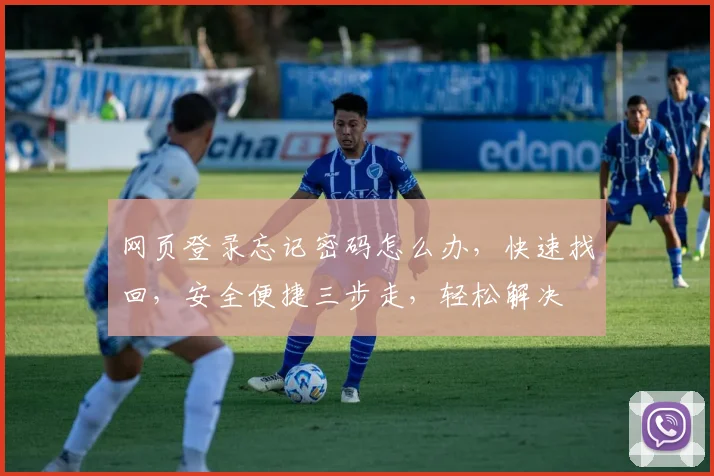 网页登录忘记密码怎么办，快速找回，安全便捷三步走，轻松解决