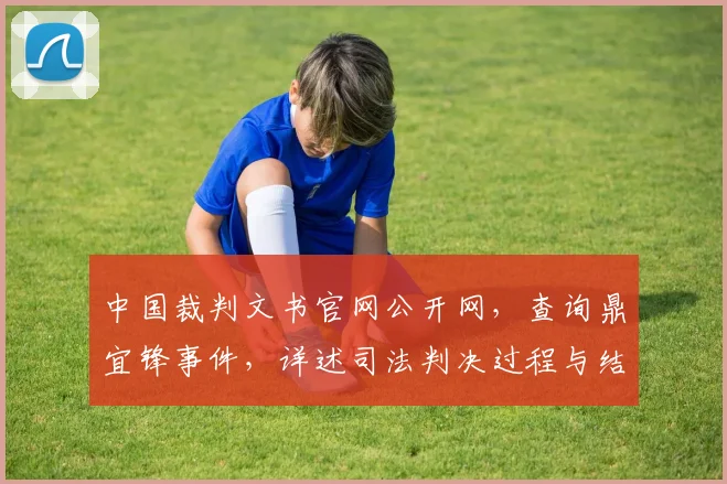 中国裁判文书官网公开网，查询鼎宜锋事件，详述司法判决过程与结果