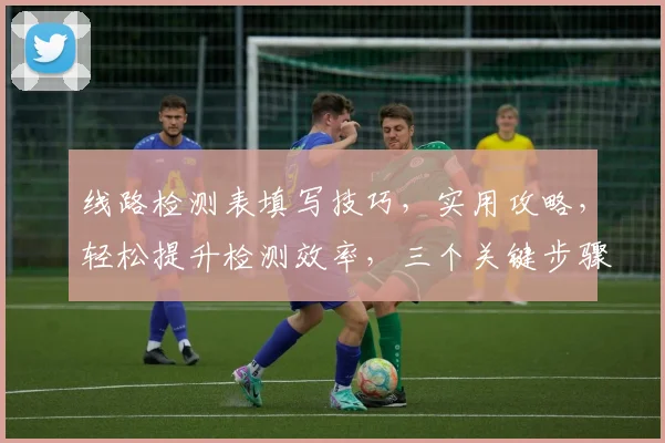 线路检测表填写技巧，实用攻略，轻松提升检测效率，三个关键步骤，不容错过